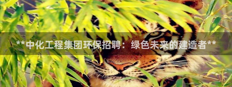 亿万官网字幕：**中化工程集团环保招聘：绿色未来的建造者**