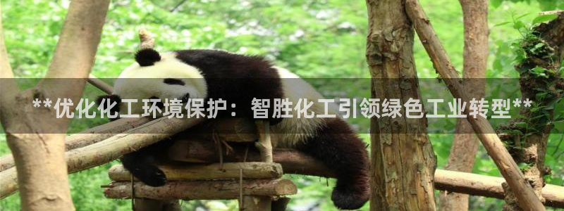 亿万手游平台官网下载：**优化化工环境保护：智胜化工引领绿色工业转型**