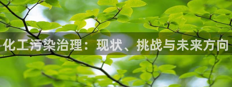 亿万先生客服联系：化工污染治理：现状、挑战与未来方向