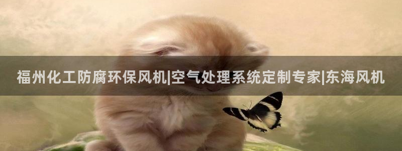 mr8001亿万先生：福州化工防腐环保风机|空气处理系统定制专家|东海风机