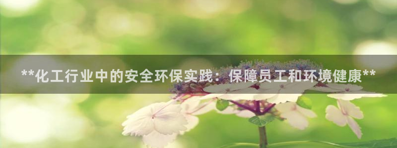 亿万先生客户端官网首页：**化工行业中的安全环保实践：保障员工和环境健康**