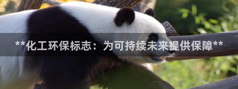 亿万网友在线解答：**化工环保标志：为可持续未来提供保障**