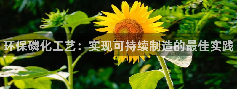 亿万先生客户端官网登录不了：环保磷化工艺：实现可持续制造的最佳实践