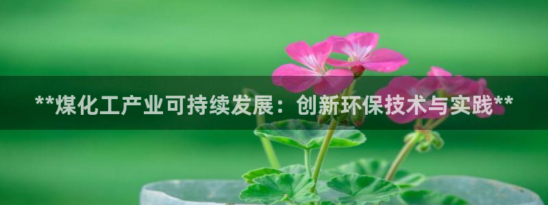 亿万先生手机版客户端下载官网：**煤化工产业可持续发展：创新环保技术与实践**