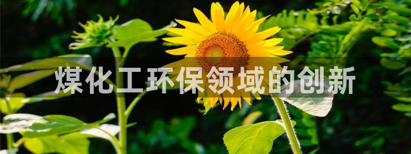亿万先生充电桩怎么样：煤化工环保领域的创新