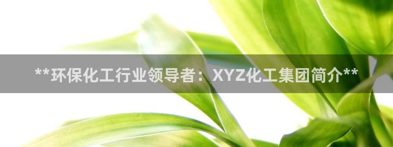 亿万国际游戏官网：**环保化工行业领导者：XYZ化工集团简介**