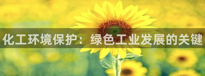 亿万解析：化工环境保护：绿色工业发展的关键