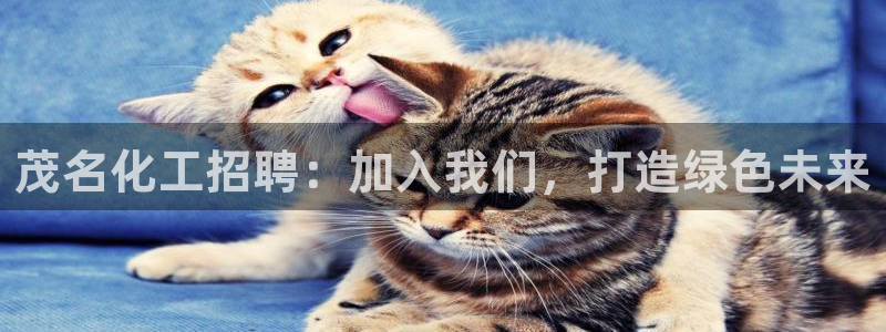 亿万先生情侣车有什么用：茂名化工招聘：加入我们，打造绿色未来