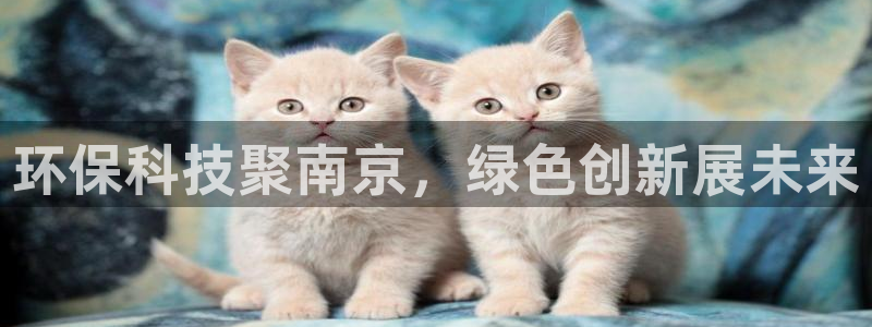 亿万先生手机版客户端下载安装：环保科技聚南京，绿色创新展未来