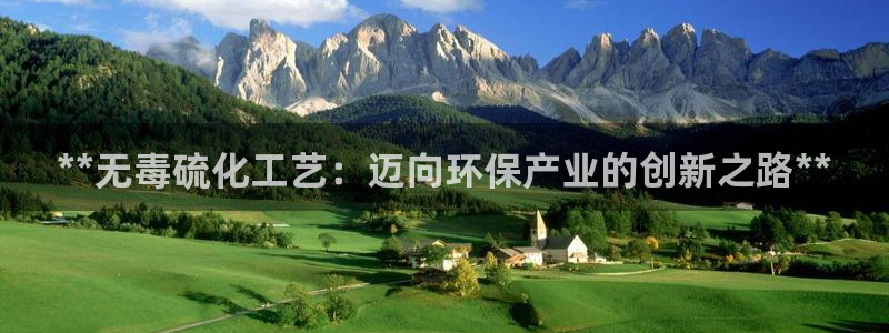 亿万集团：**无毒硫化工艺：迈向环保产业的创新之路**
