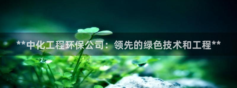 亿万28下载地址：**中化工程环保公司：领先的绿色技术和工程**