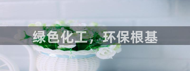 亿万先生客户端官网登录不上：绿色化工，环保根基