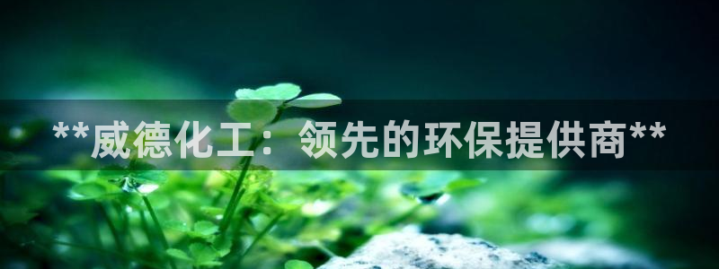 亿万先生m007：**威德化工：领先的环保提供商**