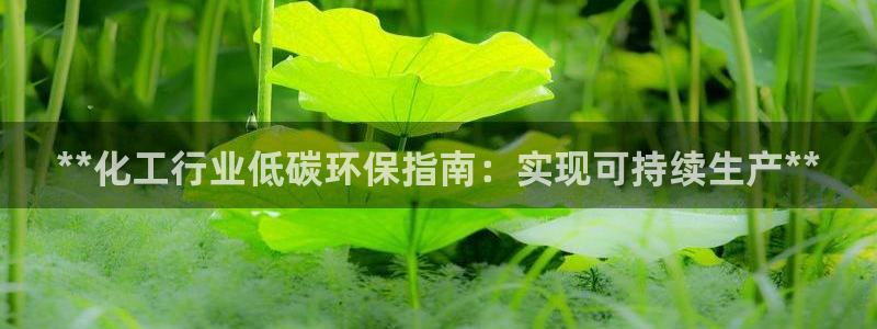 亿万钱包app下载：**化工行业低碳环保指南：实现可持续生产**