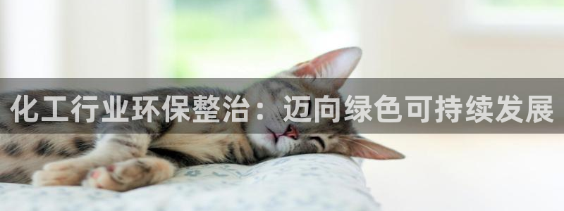 亿万先生手机网页：化工行业环保整治：迈向绿色可持续发展