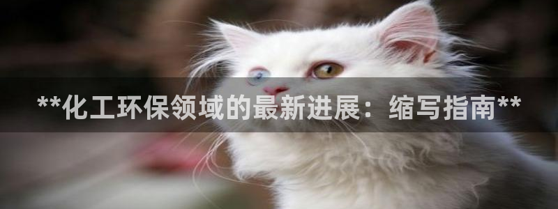 亿万国际：**化工环保领域的最新进展：缩写指南**