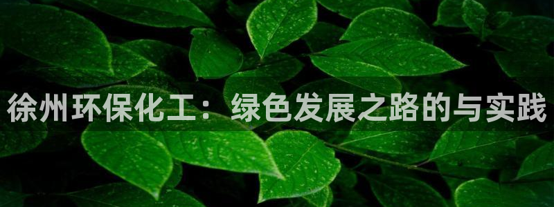 亿万先生客户端下载安装：徐州环保化工：绿色发展之路的与实践