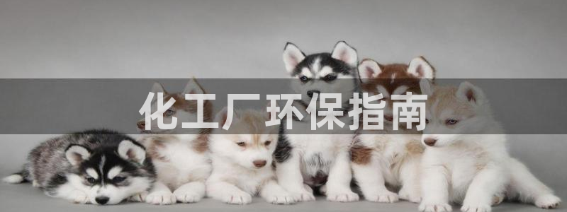 亿万红包版下载正版：化工厂环保指南