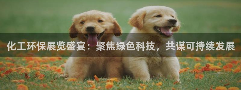 亿万官网字幕：化工环保展览盛宴：聚焦绿色科技，共谋可持续发展