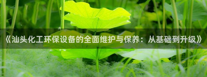 亿万先生客服联系：《汕头化工环保设备的全面维护与保养：从基础到升级》