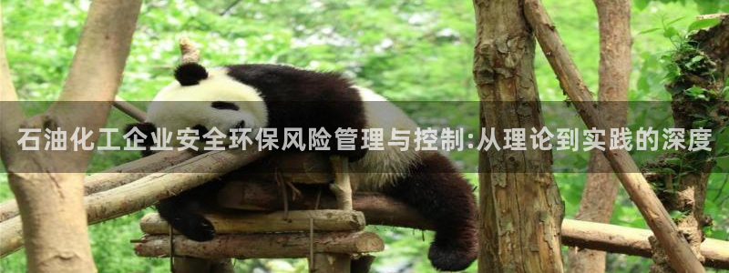亿万先生合并网址：石油化工企业安全环保风险管理与控制:从理论到实践的深度