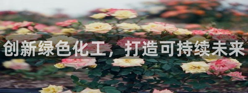 亿万先生m007：创新绿色化工，打造可持续未来