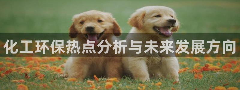 亿万同人字幕组微博的微博：化工环保热点分析与未来发展方向