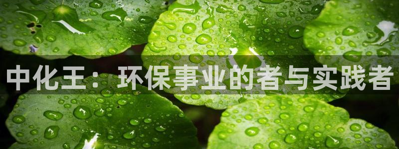 亿万同人字幕组微博的微博：中化王：环保事业的者与实践者