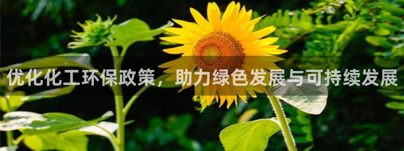 亿万先生客户端官网登录入口：优化化工环保政策，助力绿色发展与可持续发展