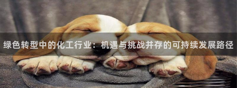 亿万百度百科：绿色转型中的化工行业：机遇与挑战并存的可持续发展路径