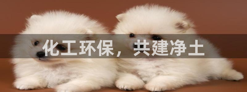 亿万手游平台官网入口：化工环保，共建净土
