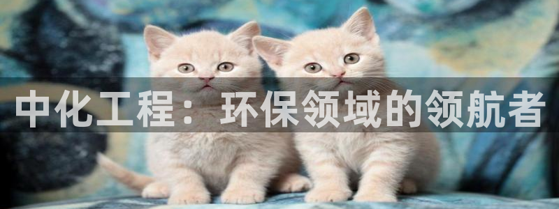 亿万先生客户端官网登录：中化工程：环保领域的领航者