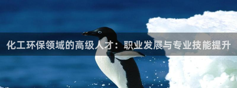 电影 亿万：化工环保领域的高级人才：职业发展与专业技能提升