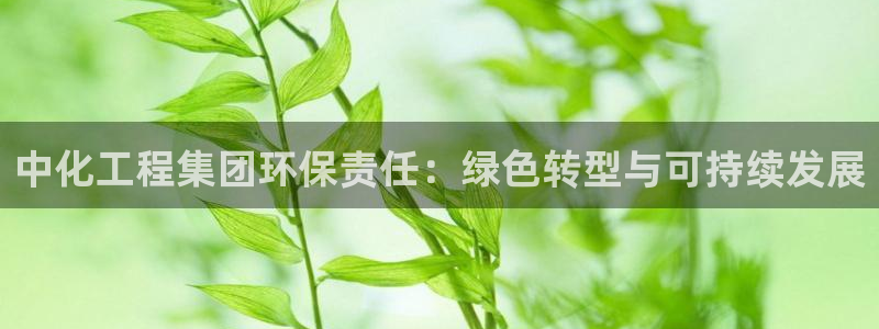 电影 亿万：中化工程集团环保责任：绿色转型与可持续发展