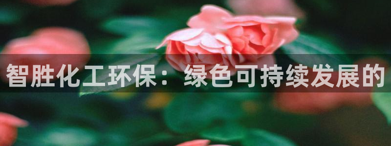 亿万手游官网：智胜化工环保：绿色可持续发展的