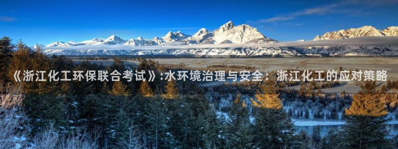 亿万笞人：《浙江化工环保联合考试》:水环境治理与安全：浙江化工的应对策略