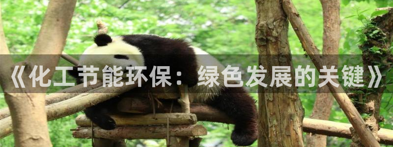 亿万先生下载网址app：《化工节能环保：绿色发展的关键》