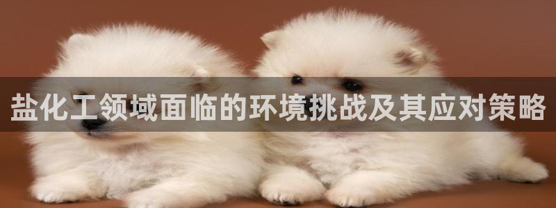 亿万先生网页版：盐化工领域面临的环境挑战及其应对策略