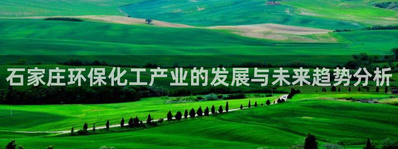 亿万先生现在的网址谁知道是真的：石家庄环保化工产业的发展与未来趋势分析