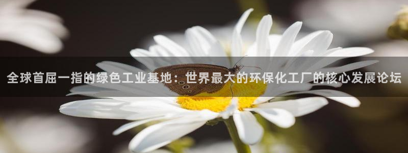 亿万先生首页：全球首屈一指的绿色工业基地：世界最大的环保化工厂的核心发展论坛
