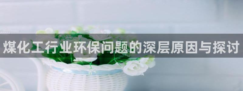 亿万先生 菲律宾：煤化工行业环保问题的深层原因与探讨