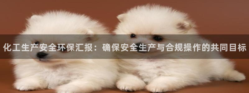 亿万同人字幕组的个人主页：化工生产安全环保汇报：确保安全生产与合规操作的共同目标