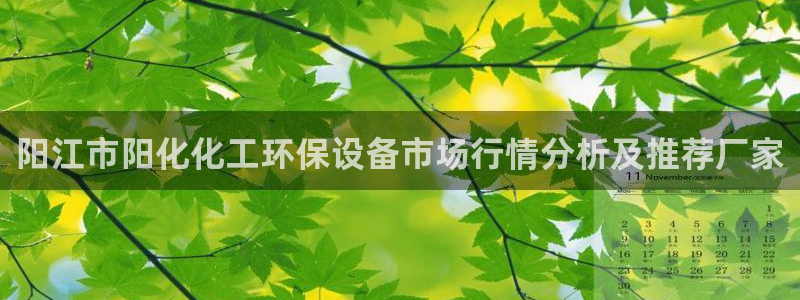 亿万先生充电桩：阳江市阳化化工环保设备市场行情分析及推荐厂家