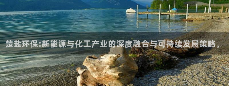 亿万先生客服联系方式：楚盐环保:新能源与化工产业的深度融合与可持续发展策略。