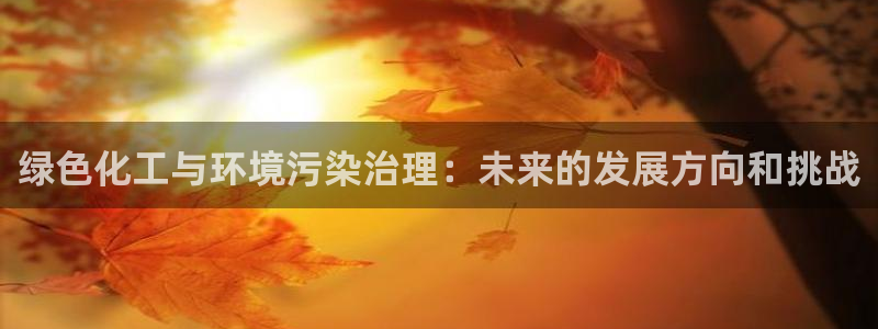 亿万啥意思：绿色化工与环境污染治理：未来的发展方向和挑战