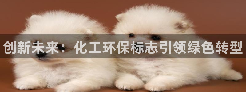 亿万先生网址生：创新未来：化工环保标志引领绿色转型