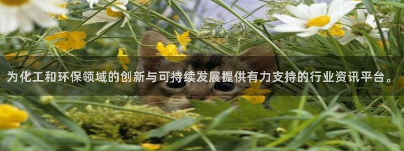 亿万先生官方网站首页：为化工和环保领域的创新与可持续发展提供有力支持的行业资讯平台。