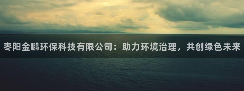 亿万先生客户端下载：枣阳金鹏环保科技有限公司：助力环境治理，共创绿色未来