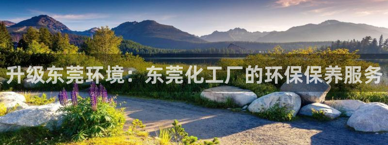 亿万先生合并最新消息：升级东莞环境：东莞化工厂的环保保养服务