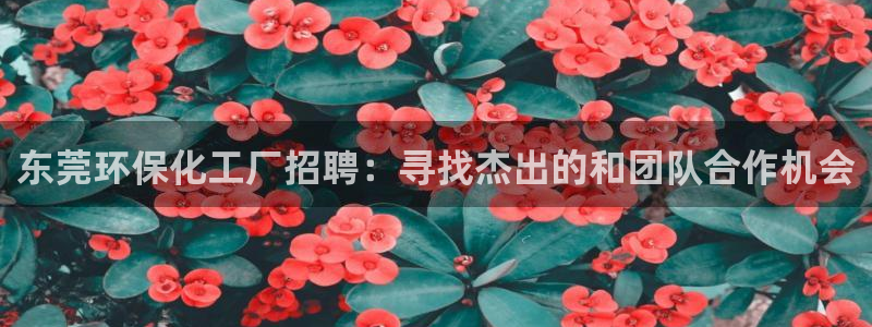亿万先生客服联系方式查询：东莞环保化工厂招聘：寻找杰出的和团队合作机会